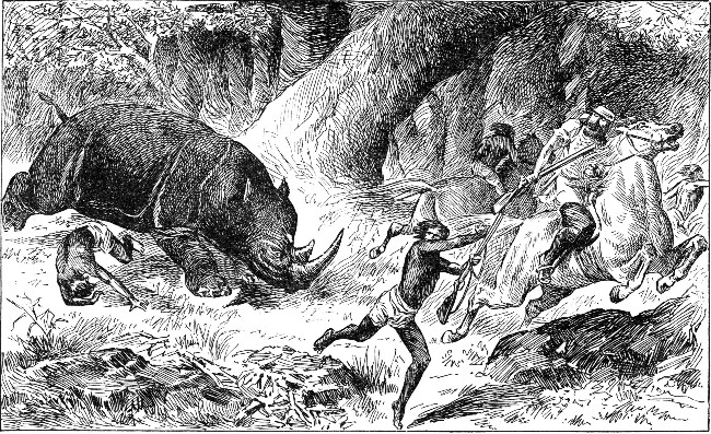 RHINOCEROS CHARGING THE HUNTERS.