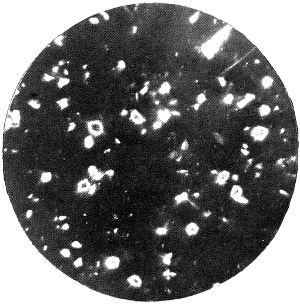 Barytes under Polarized Light