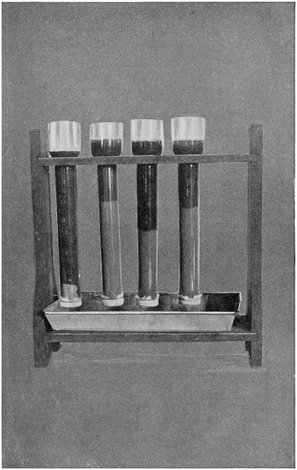 Fig. 22.