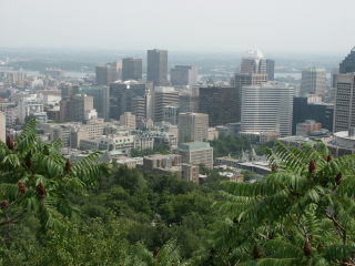 [Vue sur Mont Royal  Montral]