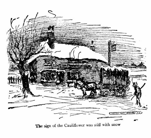 ‘The Sign of the Cauliflower Was Stiff With Snow.’ 