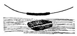 FIG. 210.—A wire carrying current attracts iron
filings.