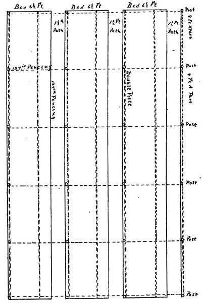 Plan for Ginseng Garden.