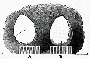 Fig. 45.