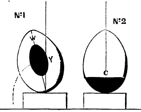 Fig. 46.