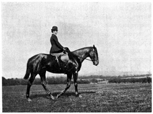 Woman riding at a walk.