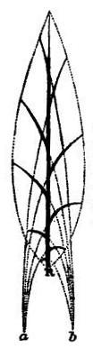 Fig. 44.