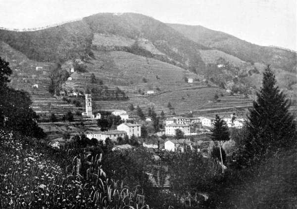 PANORAMA DI CORSENA (Fot. Pellegrini).