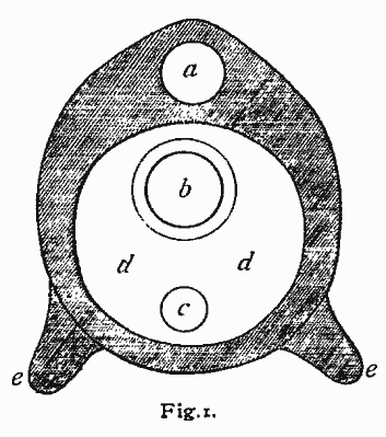 Fig. 1: section of a horse